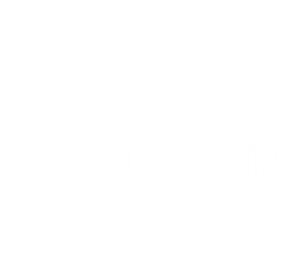 Falcon logo - White1